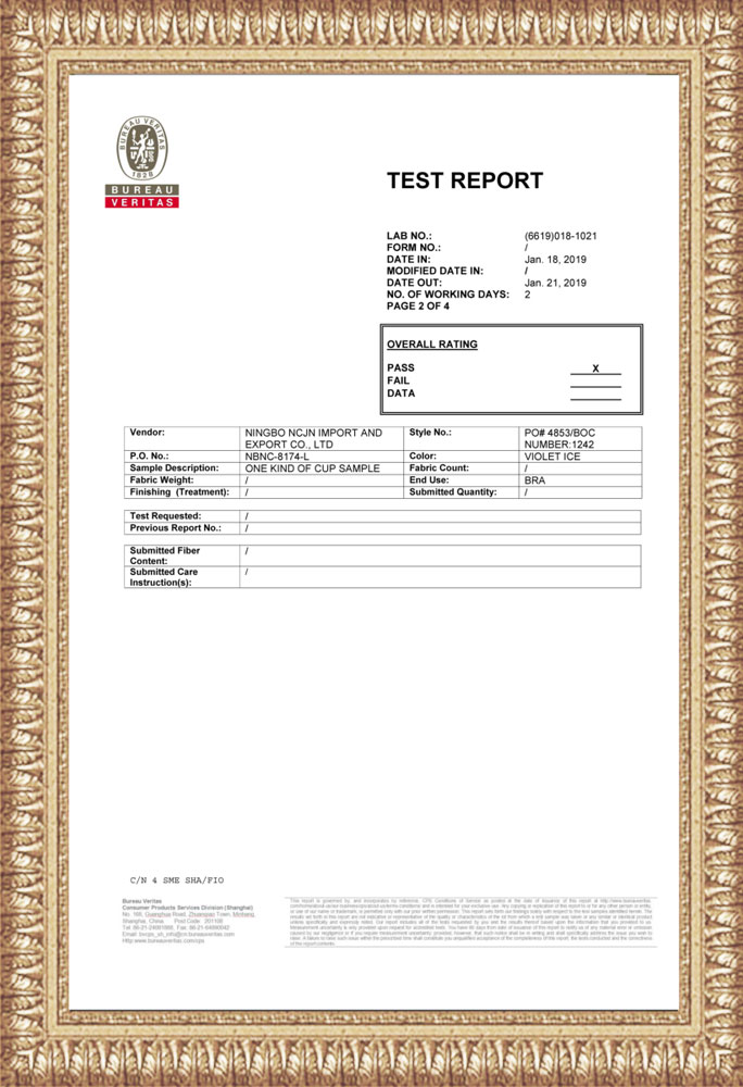 CERTIFICAÇÃO-4